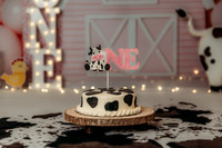 Stella 1st Cake Smash-3