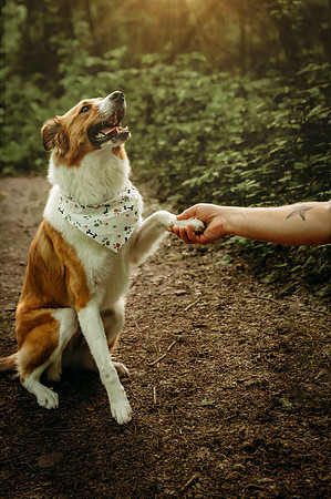 Taylor ~ Rockie-2